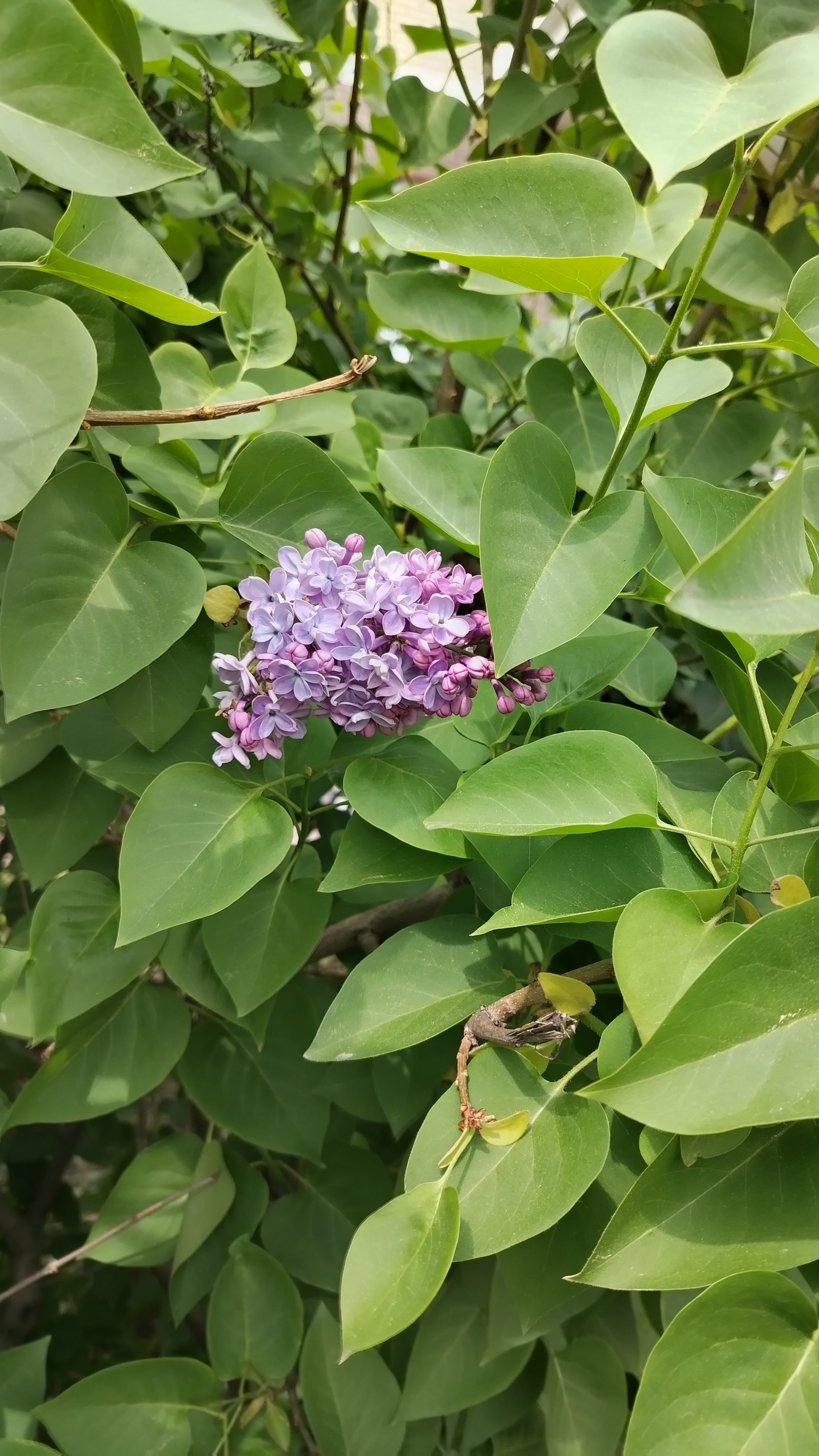 Урааааа, лето🦋