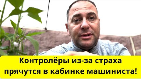 ДОЖИЛИСЬ! До чего Германия докатилась!