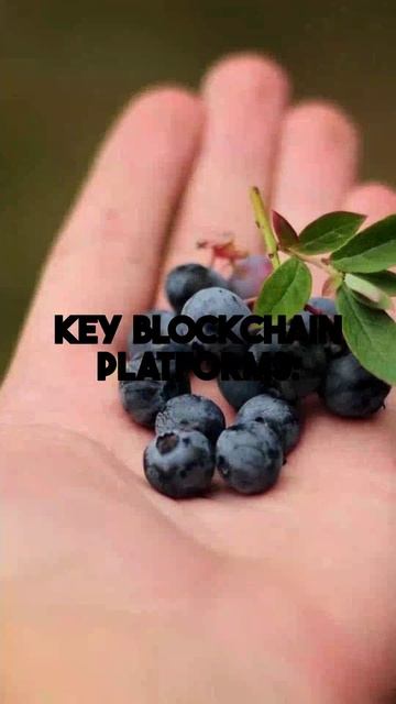 Discover key blockchain platforms transforming content creation in 2025. Content creators can...