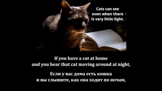 Repeat after the speaker_Cats_for Kids