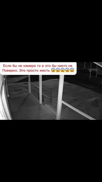 Жесть какая