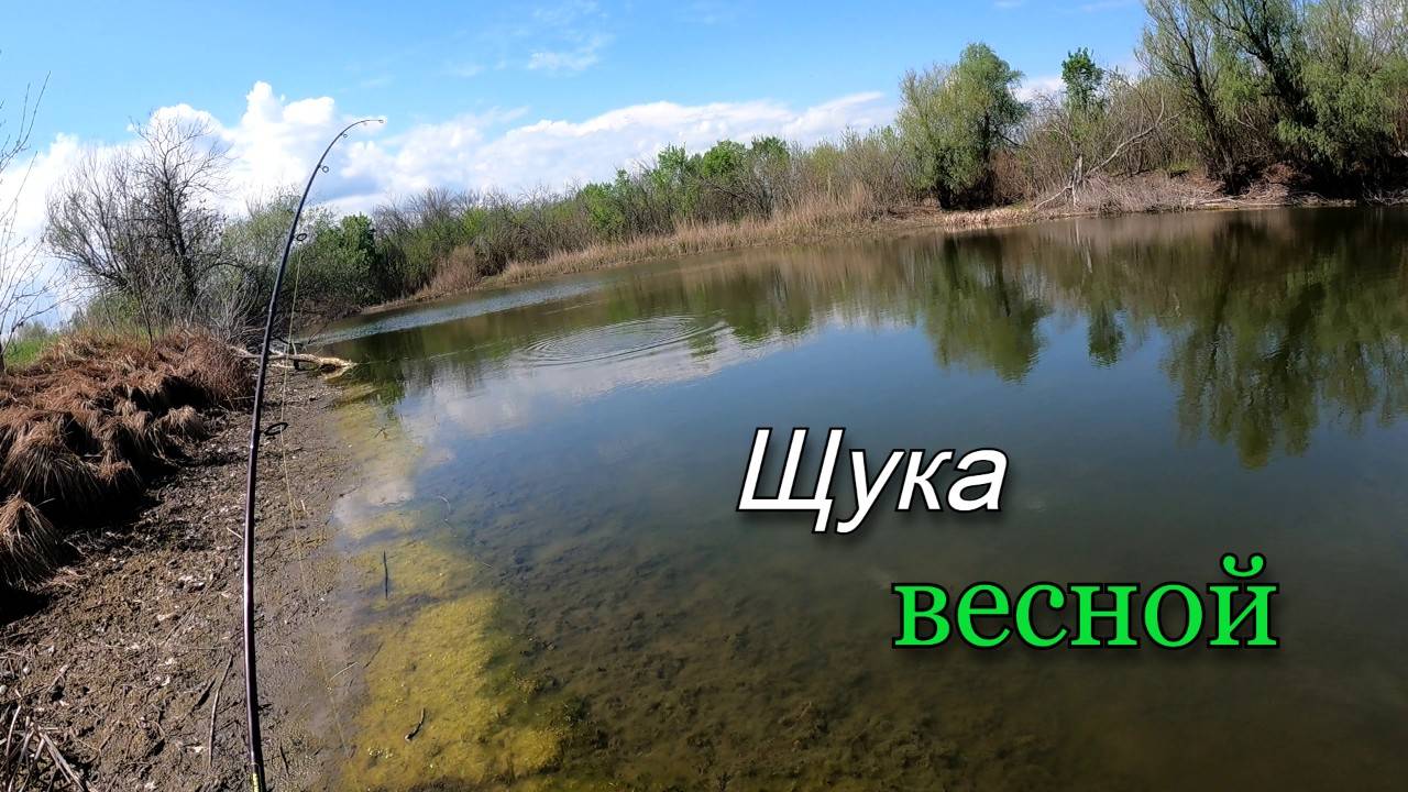 В озере воды по колено, а щука бросается на все приманки. Рыбалка весной на спиннинг, часть 2