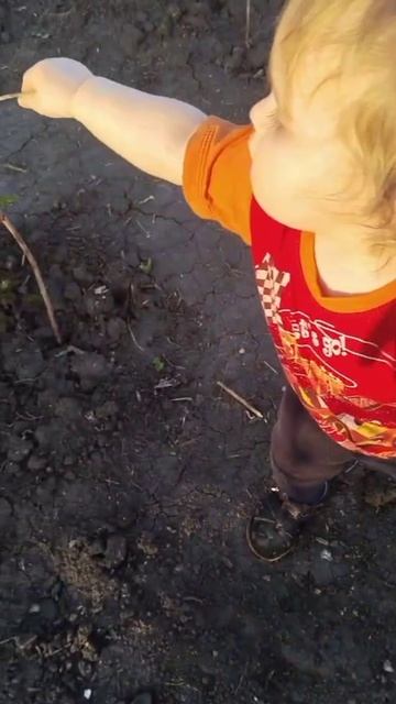 Маленький огородник)