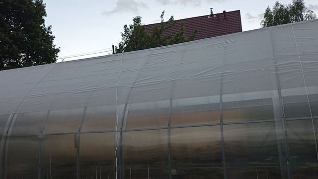 Успели до дождя.Притенили теплицу.