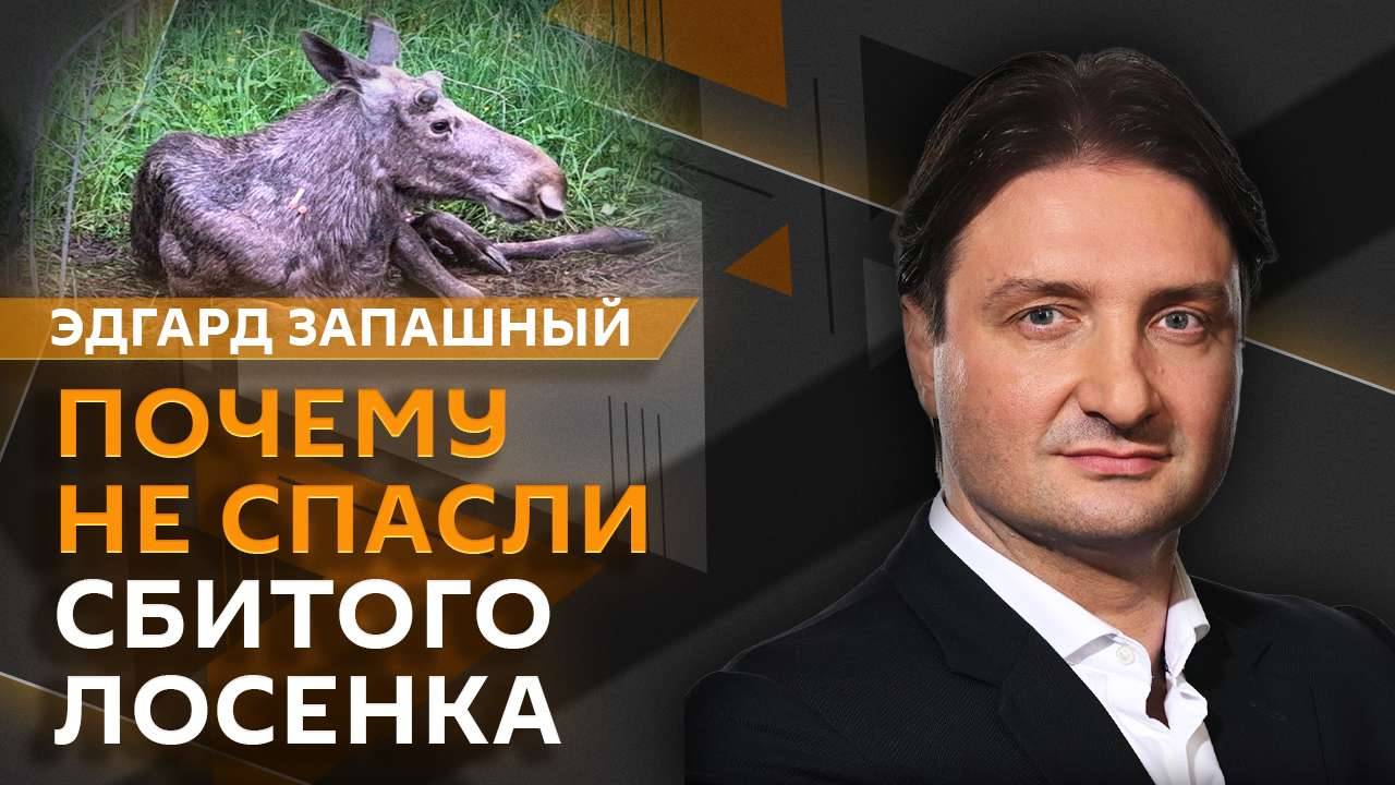 Эдгард Запашный. Осторожно, лоси! И другие дикие обитатели большого города