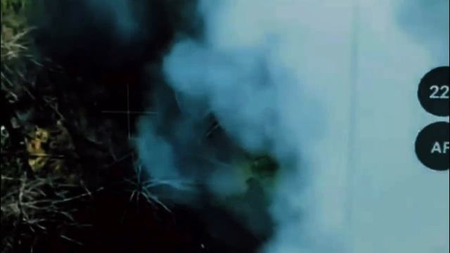 ⚠️Сводка на утро 1.6.25
▪️ Накануне скорых переговоров в Стамбуле в Брянской области...🔽🔽🔽
