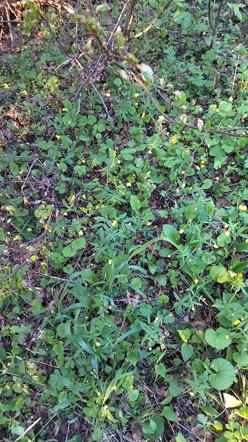 VID_20250502_194719.mp4