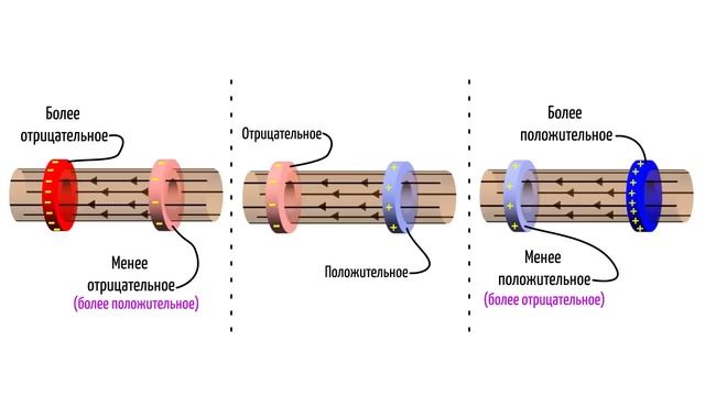 Самый важный урок физики, который вы пропустили.