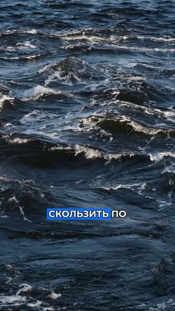 2е правило фортуны