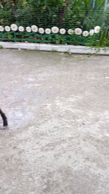 1000003211.mp4