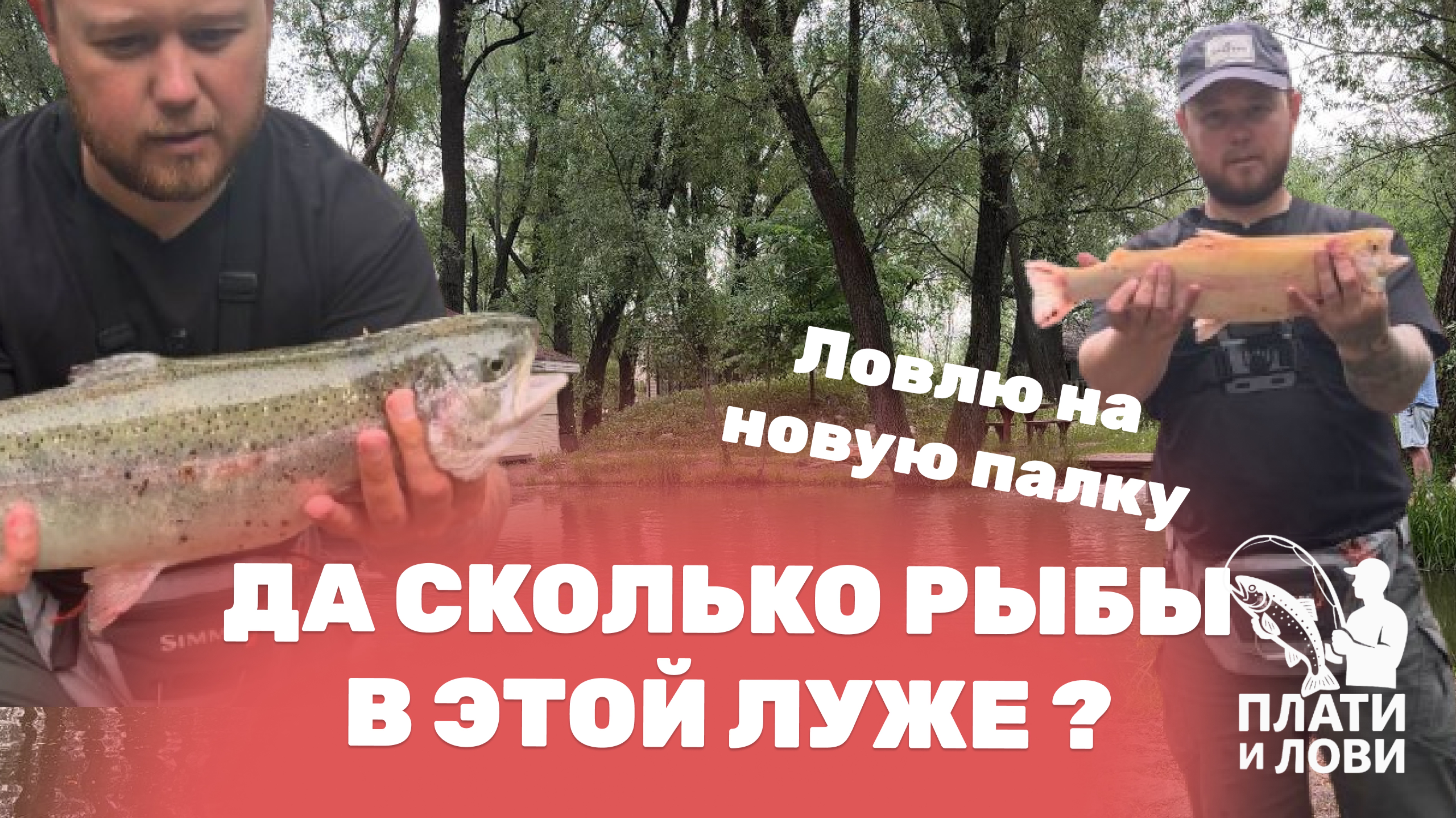 #6 ЛОВЛЮ ФОРЕЛЬ ЛЕТОМ НА ПЛАТНИКЕ. РАЗЛОВИЛ НОВЫЕ СНАСТИ. РК ОСТРОВ