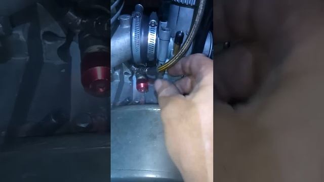 1000061456.mp4