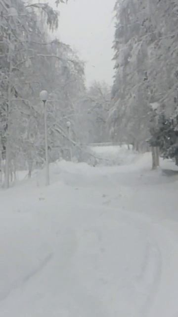 Ураган СНЕГОПАД ветер весна май #Ураган #СНЕГОПАД #ветер #весна #май #слава10rus