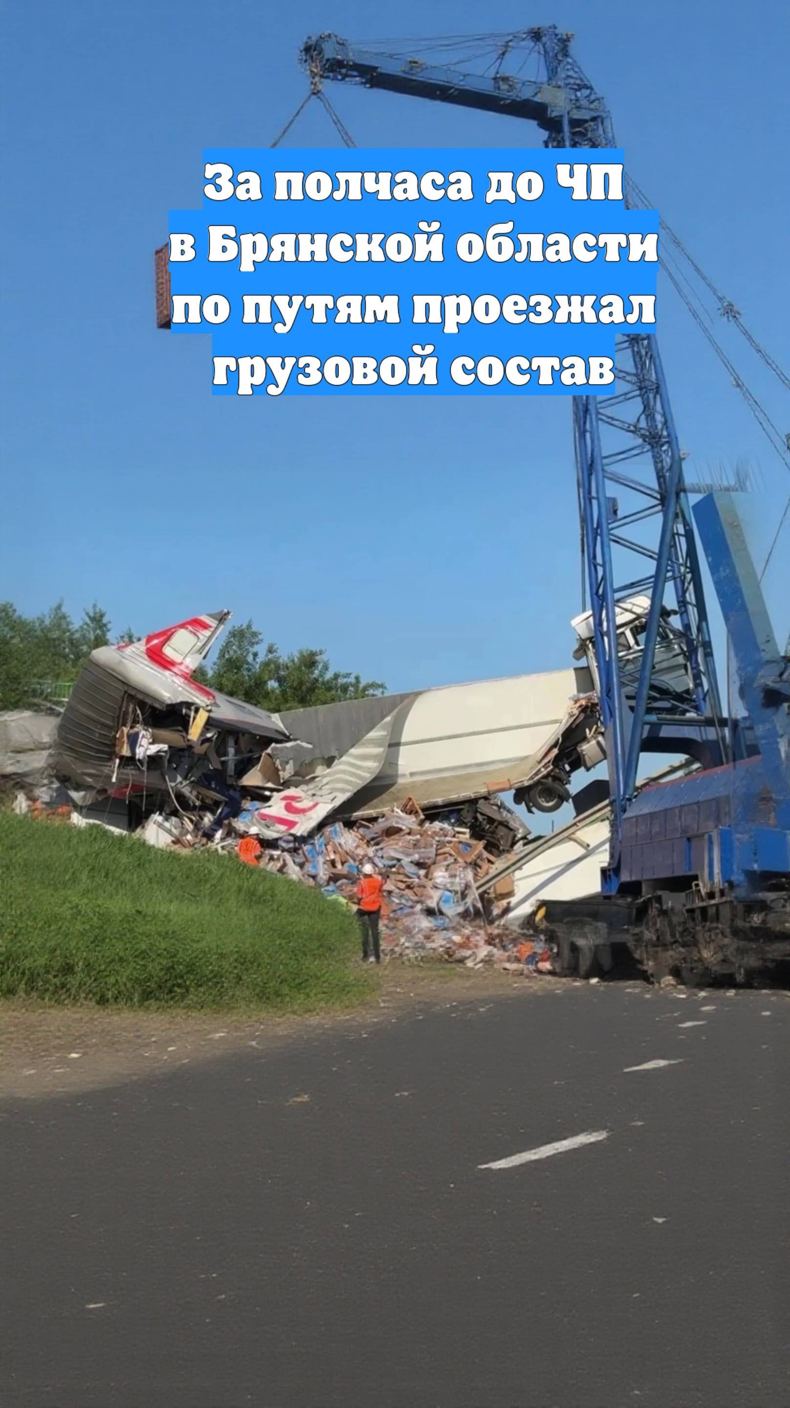 За полчаса до ЧП в Брянской области по путям проезжал грузовой состав