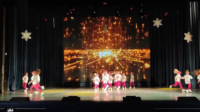 VID_20241222_124859