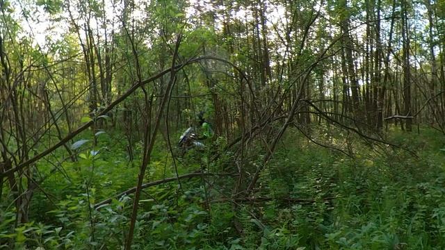 выбираемся из лесного болота на эндуро