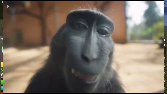Обзор фрукта яд это имба!!!