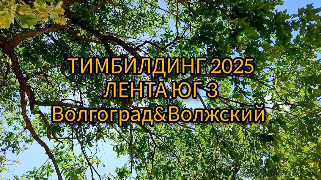 Тимбилдинг 2025. Лента Юг 3. Встреча коллективов Волгограда и Волжского🔸