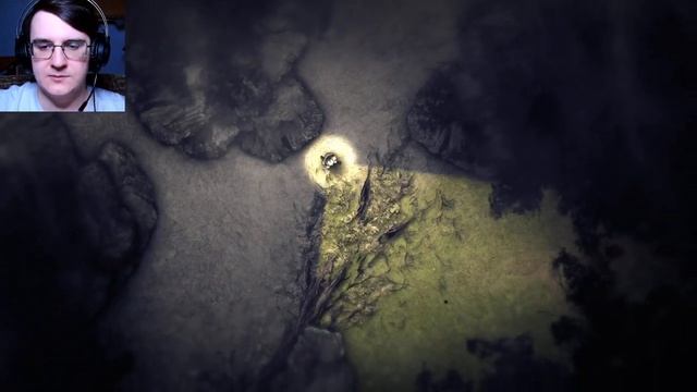 Темнолесье | Darkwood #1