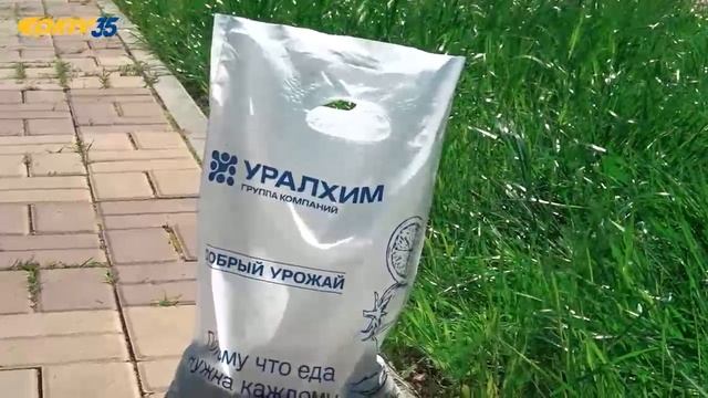 Неделя 01.06