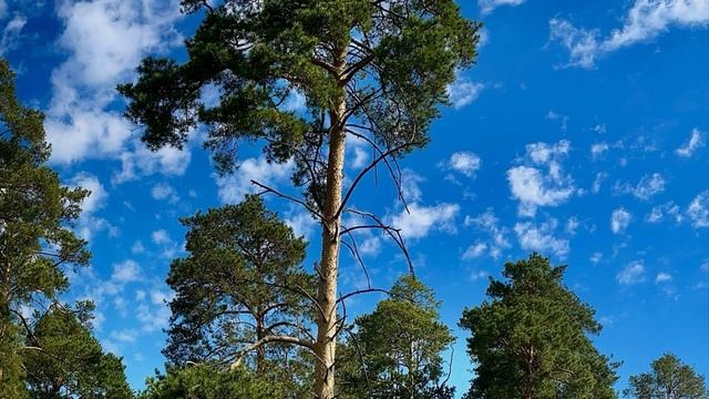 01-06-2025 а небо разное бывает.... ⛅️☁️🌤️