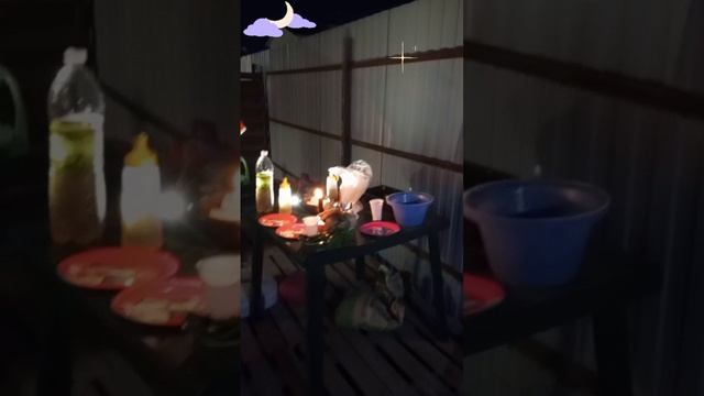 ночной шашлык