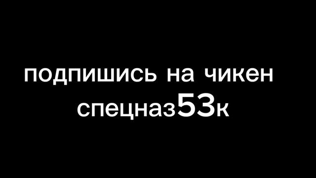 Подпишись на чикен спецназа 53к