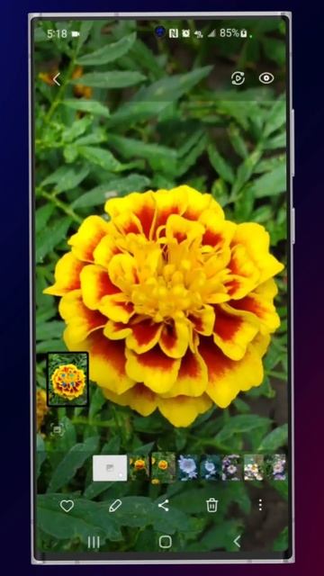 Секретная кнопка в галерее Samsung: Как улучшить качество