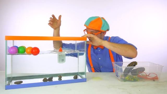 Блиппи (Blippi) - Утонет или всплывёт  Блиппи на Русском   Изучай этот Мир вместе с Блиппи   Blippi