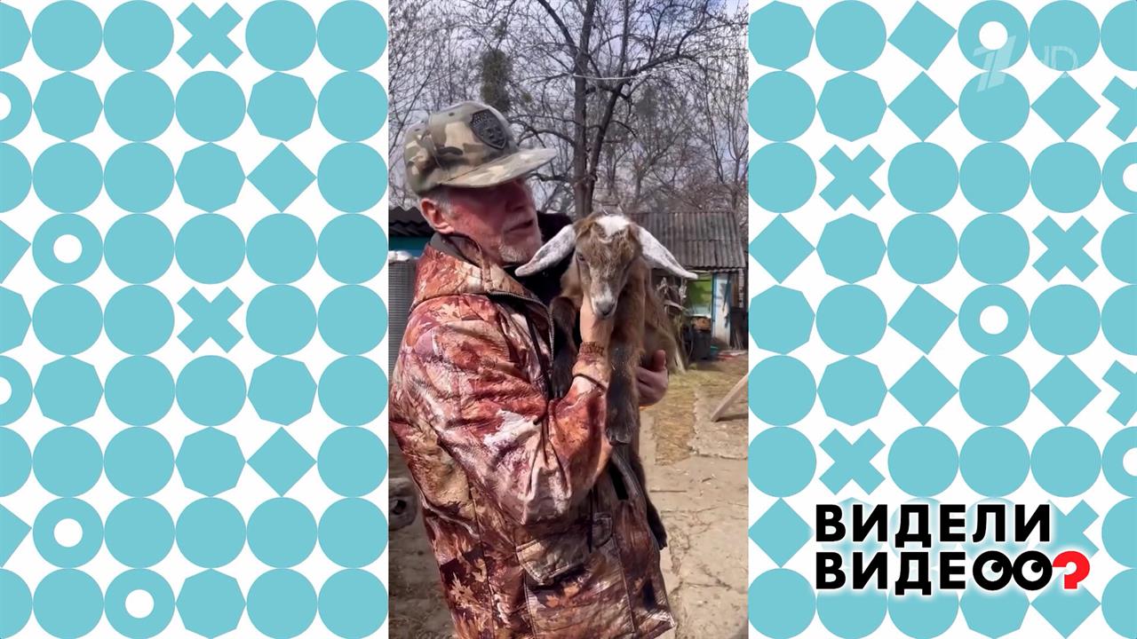 Любимая коза Настенька. Видели видео? Фрагмент выпуска от 01.06.2025