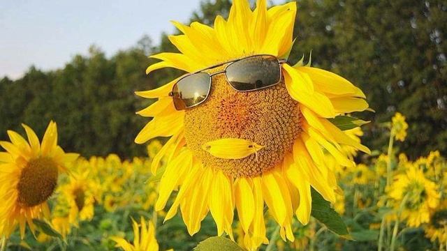 Лето