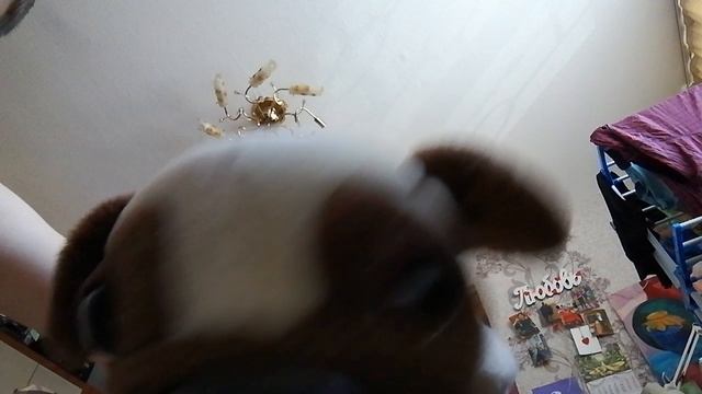 История игрушек 1 сезон 1 серия