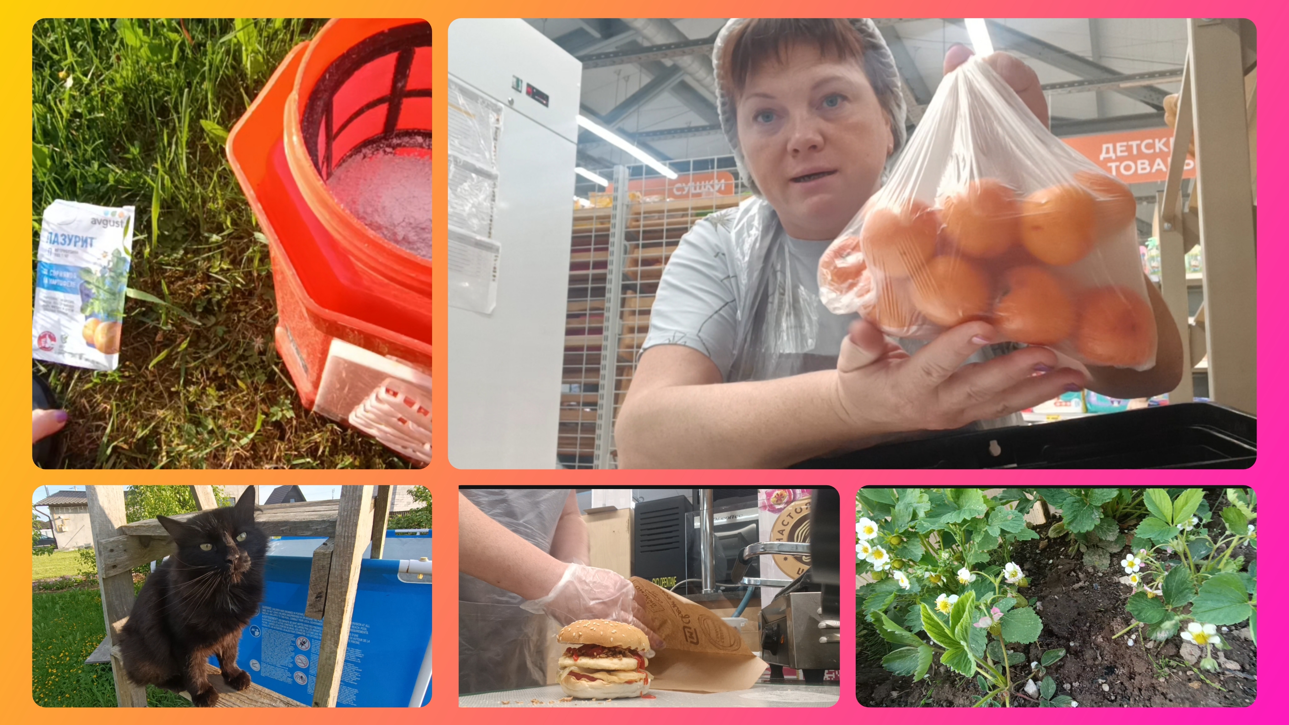 Продукты домой.Хочу проверить.