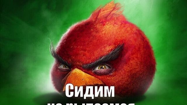 ОТКУДА МЕМ-Сидим не рыпаемся