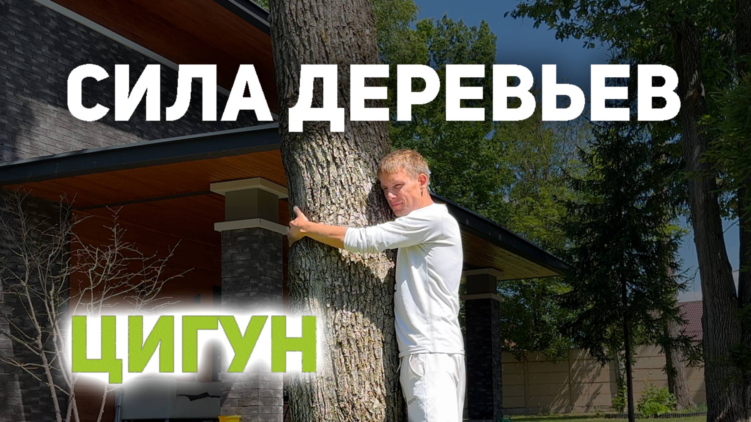 ⚡ СИЛА ДЕРЕВЬЕВ ⚡ ЦИГУН  ⚡ #цигун #энергопрактики #дао
