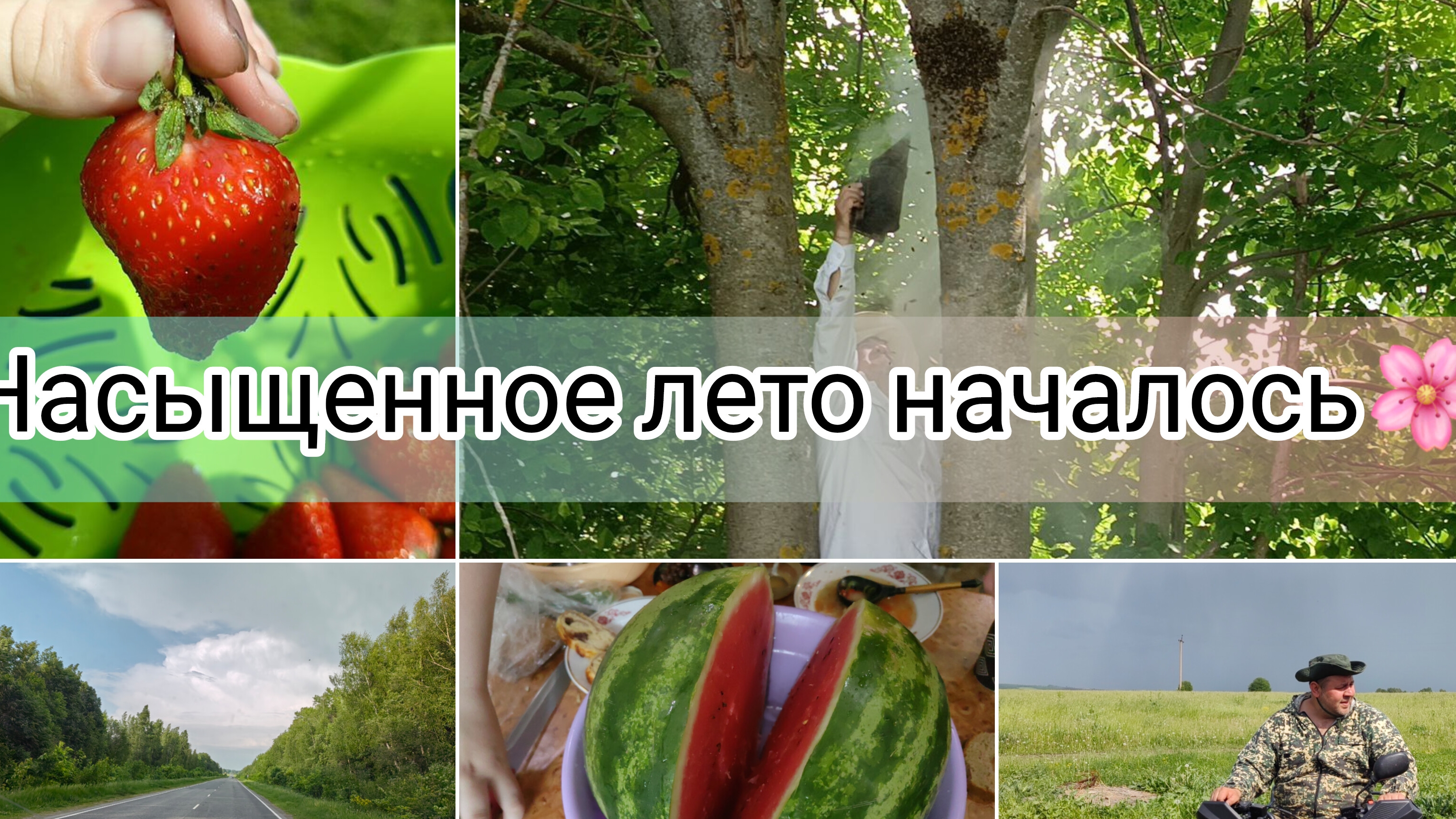 рой пчел/потомство новое/рыбаки