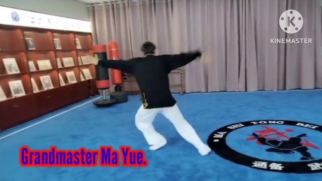 Ма Ши Тунбэй Ушу. Грандмастер Ма Юэ.