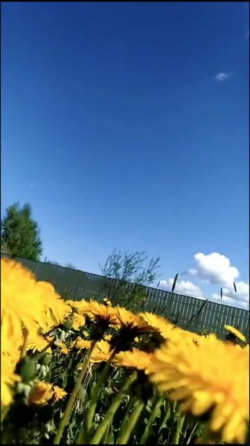 Лето