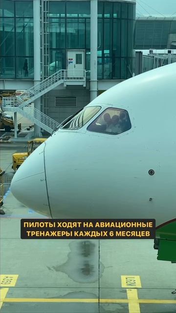 Запомни это если боишься летать