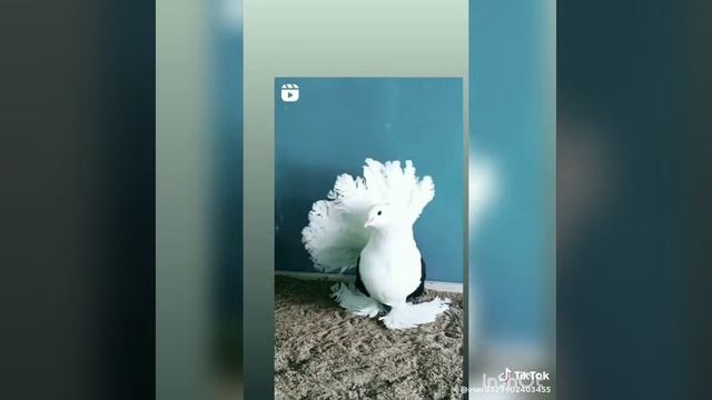 1000005425.mp4
