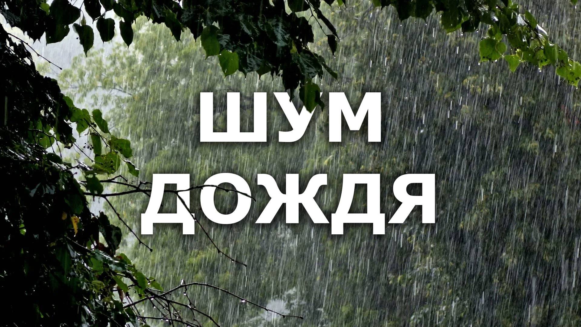 Расслабляющие звуки капель дождя без грома и птиц. Для души и глубокого сна.