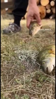 БОГ РЫБАЛКИ