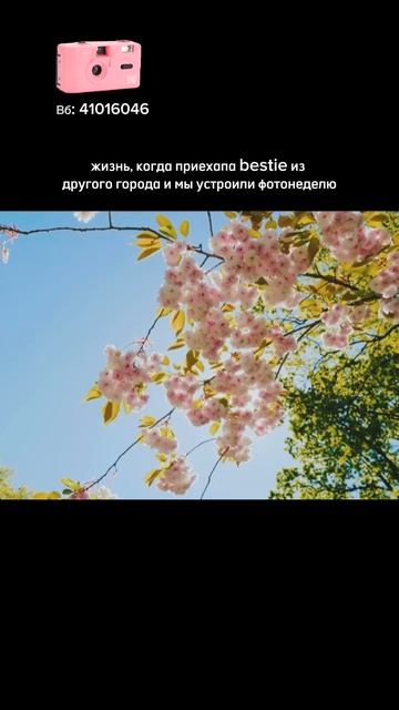 🌸 Розовый Kodak M35 — артикул WB 41016046