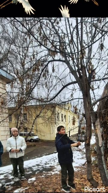 Видеоролик ко Дню птиц