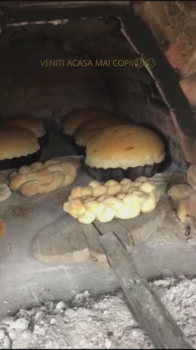 🔴 VENTI ACASA MAI COPII !🙏🏻🙏🏻😥😥 #moldova #nostalgie #dordecasa #dordecasaparinteasca