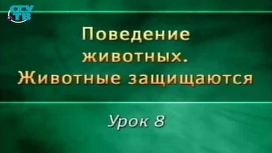 Животные защищаются # 8. Уход от опасности