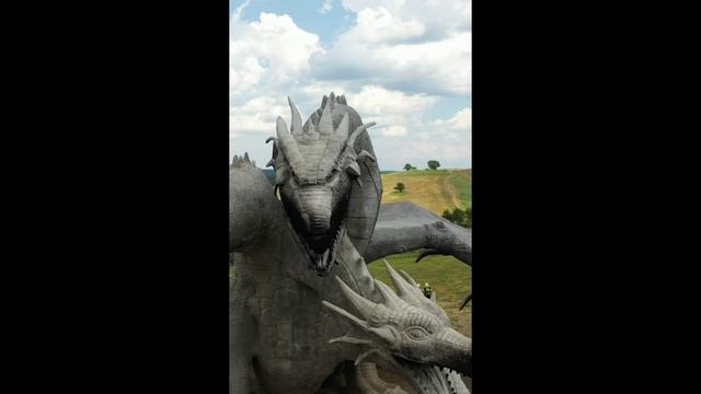 я дракон кеша