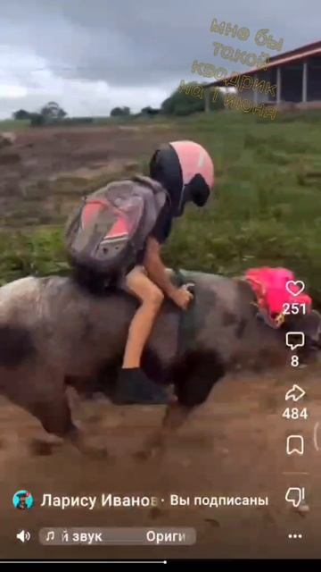 кас, мне бы такой квадрик на 1 июня😏😏😏