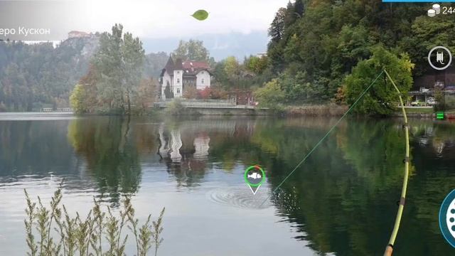 Ловим ёрш полосатый в игре My Fishing World