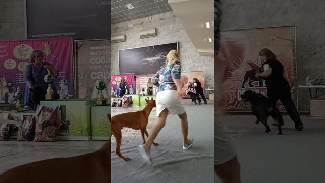 1000334253.mp4
